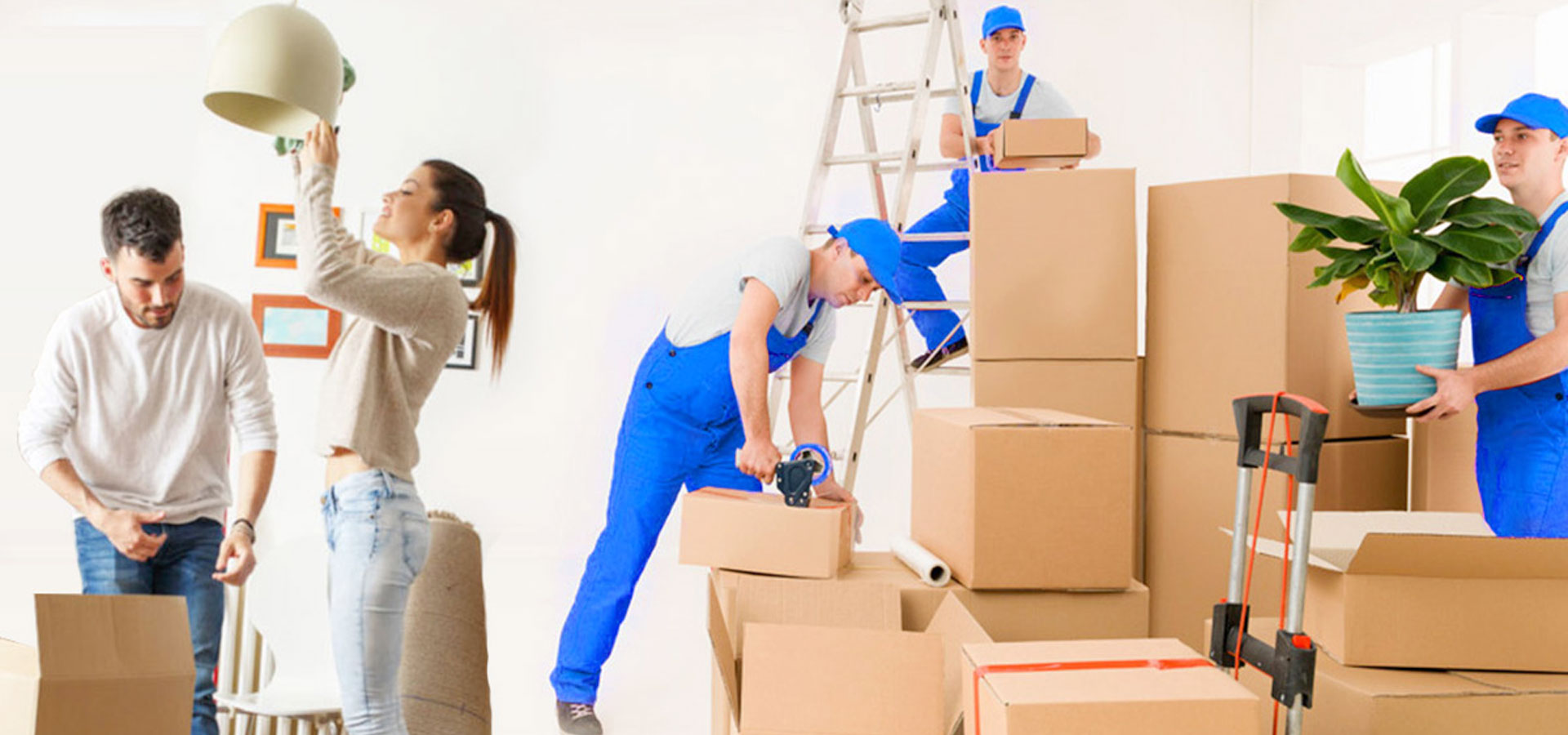 Bhavika Packers and Movers 09380005301, 08875355476 India No #1 Packers and  Movers